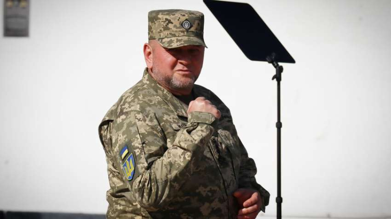 Немецкие генералы тайно посещали Киев в день отставки Залужного: Bild раскрыл детали