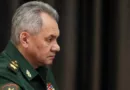 Силы обороны юга опровергли вранье Шойгу Путину о «зачистке» Крынок